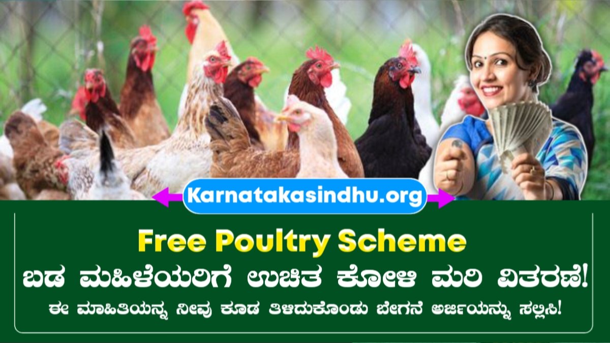 Free Poultry Scheme